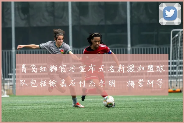 青岛红狮官方宣布五名新援加盟球队包括徐嘉石付杰李明璠梅景轩等球员