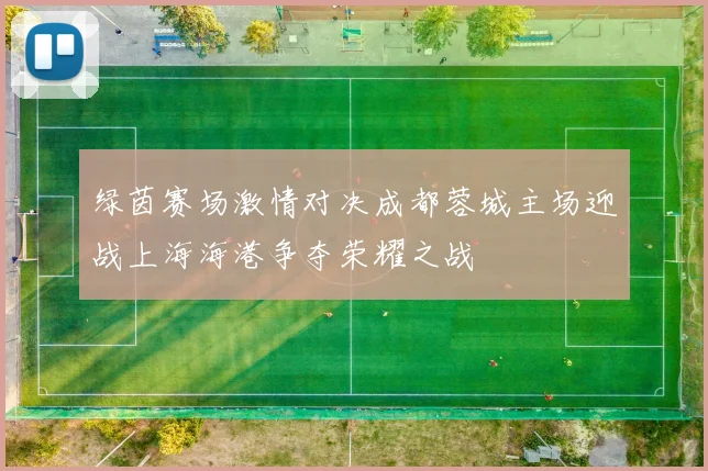 绿茵赛场激情对决成都蓉城主场迎战上海海港争夺荣耀之战